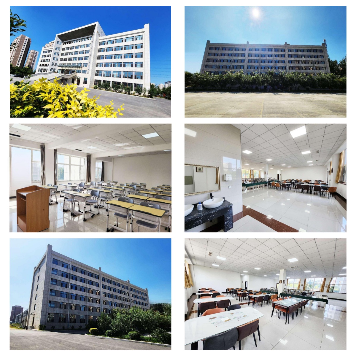 沈阳单招集训护航升学｜适配八大优势，补短板、固优势，录取更轻松